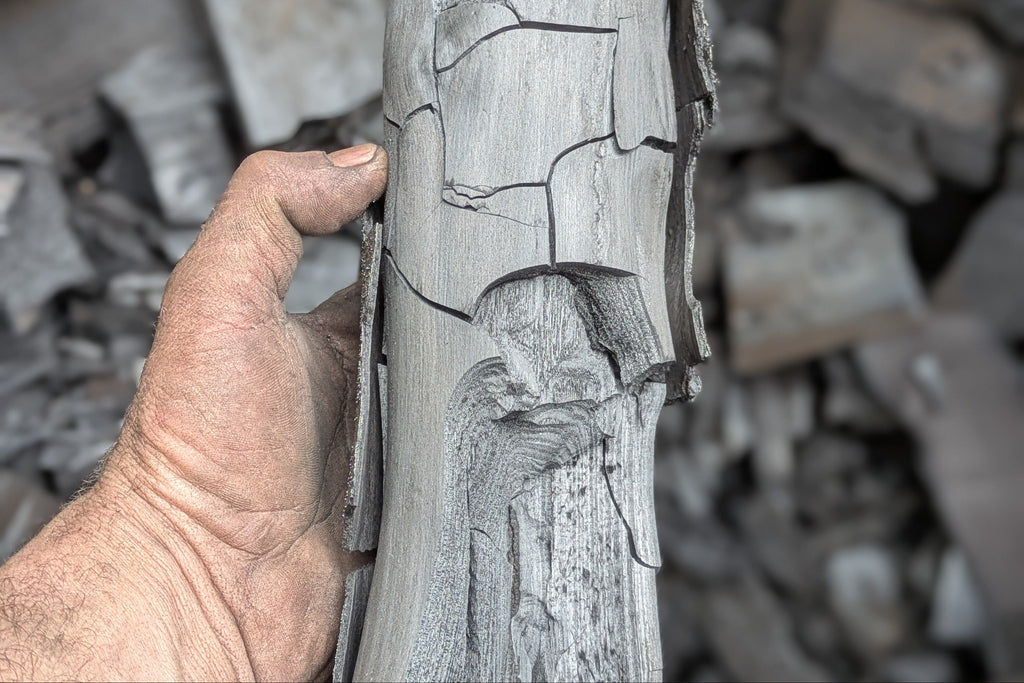 crooked tree charcoal